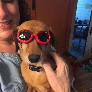 Meet your Posher, Tracy